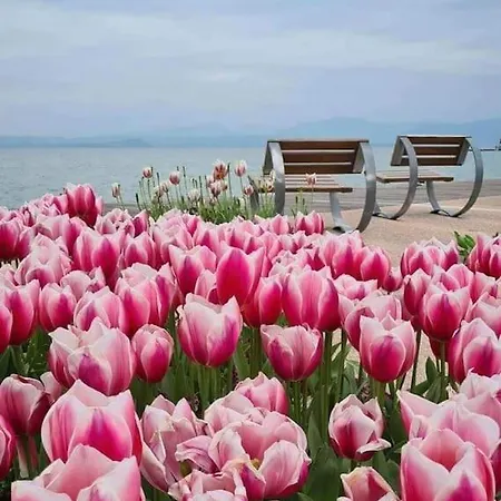 Apartment Dolcevivere Bardolino *